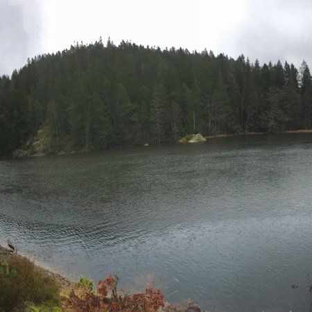 Brudsangen