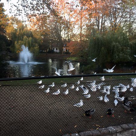 City Park