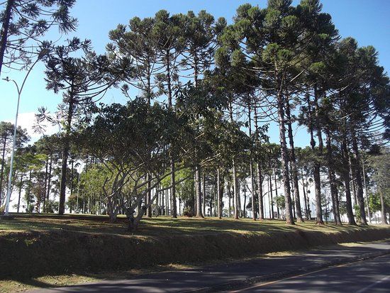 Praça Luba Klabin