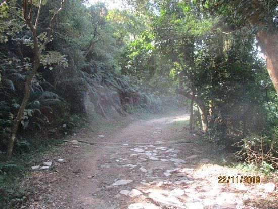 Coloane Walking Trail