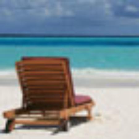 Restaurant le Cochon D'Inde