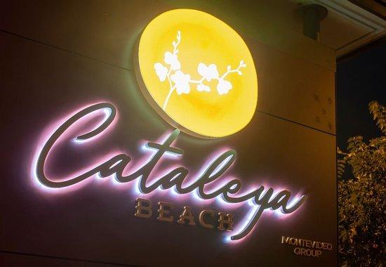 Cataleya Beach