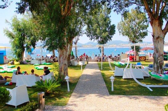 Beluga Beach Club