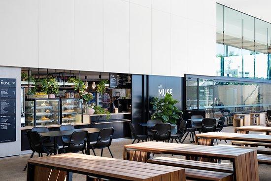 Cafe Muse