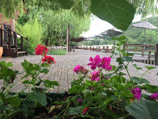 Robin's Nest Iskele Restaurant