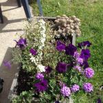 Cock 'n Bull Restaurant