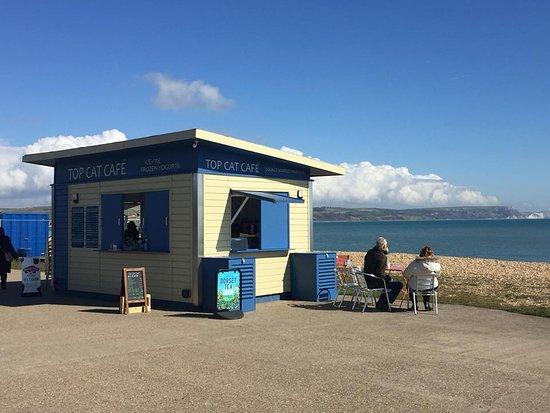 Top Cat Cafe