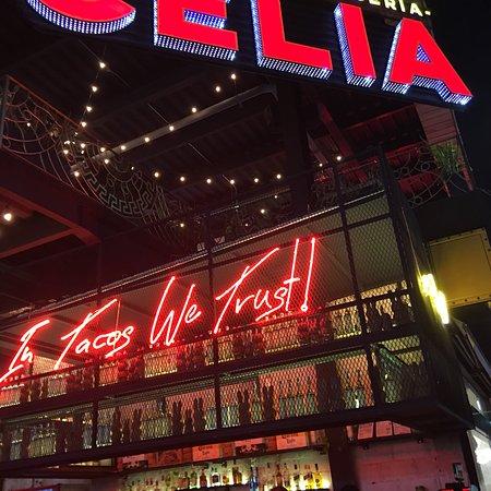 Celia Tacos