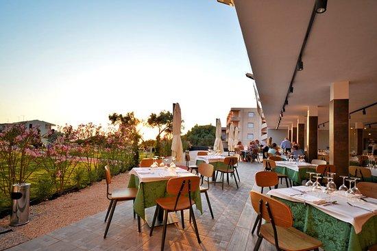 TerraEmare