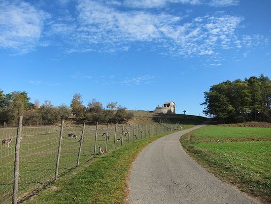 Römerkastell
