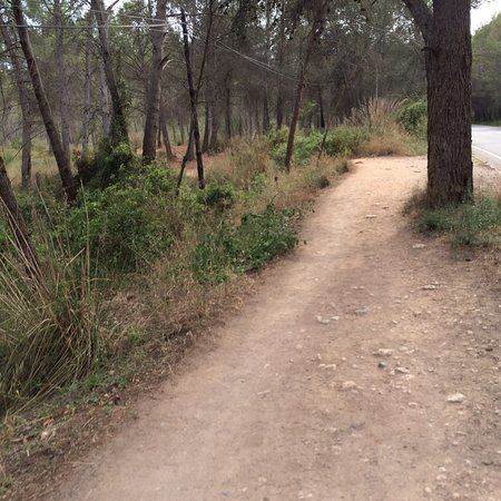 Parc del Mil·lenni