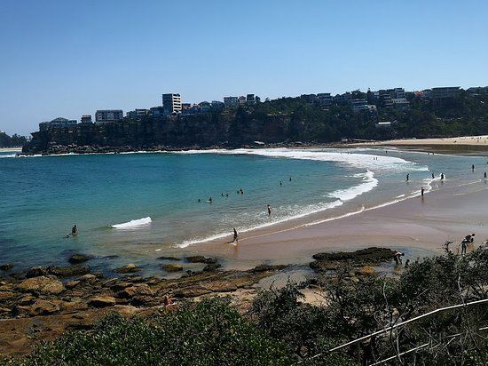 Curl Curl to Freshwater Beach Coastal Walk