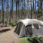 Tropical Smoothie Cafe