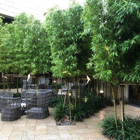Garden Cafe
