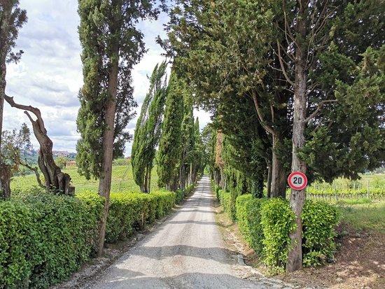 Braceria di Castelpugna