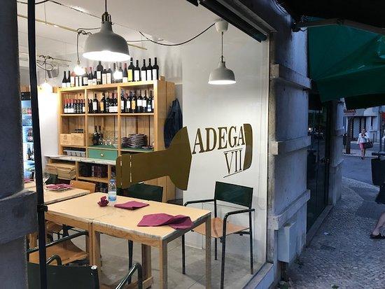 Adega VII