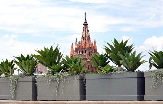 FATIMA 7 Rooftop