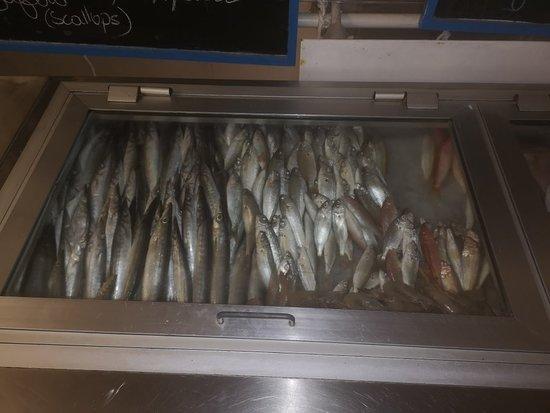 Oyster's Seafood Bar