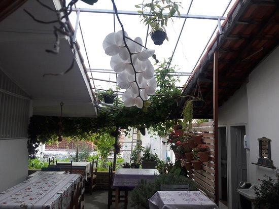 Restaurante Dona Dita