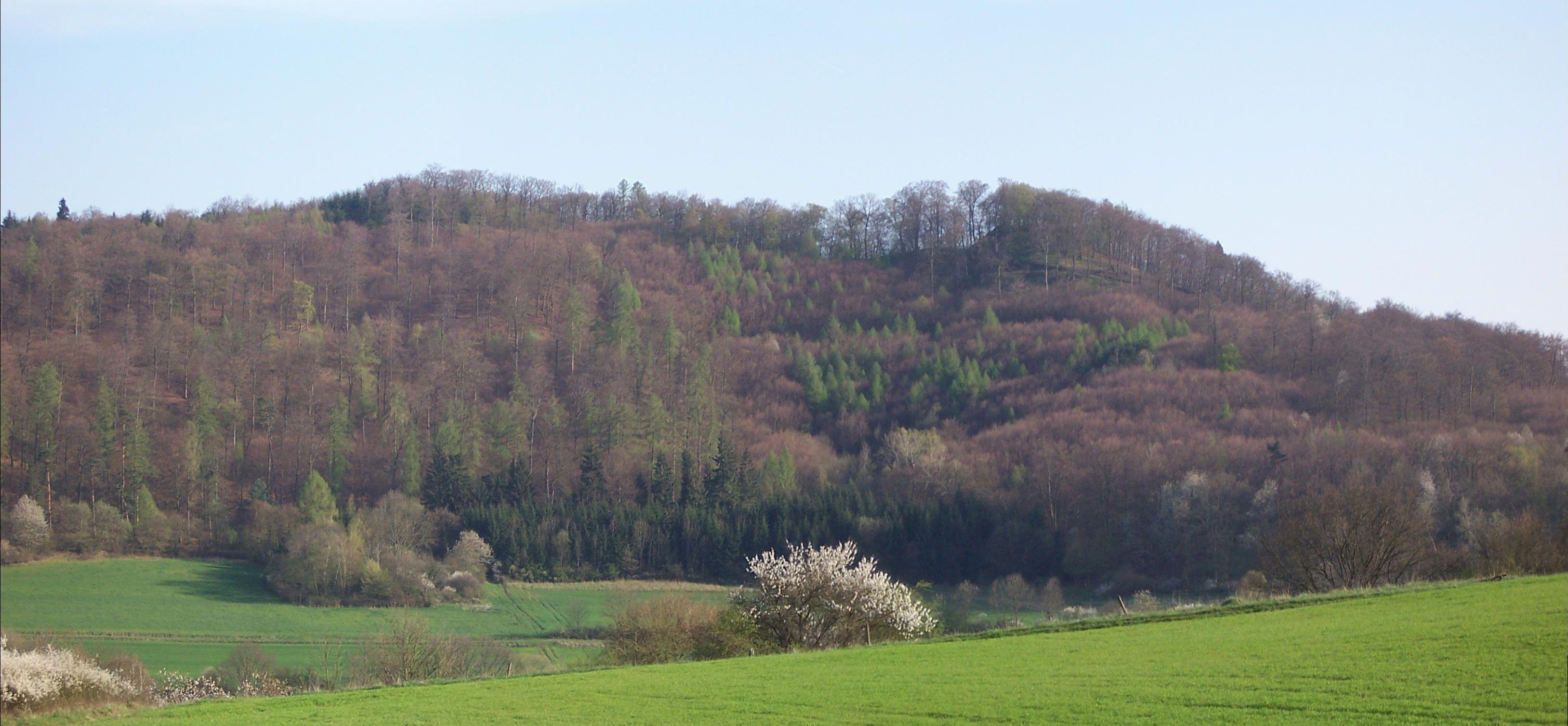 Burg Hohenfels