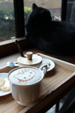 Kitty Cat Cafe