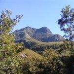 Veronique's Coffee Shop