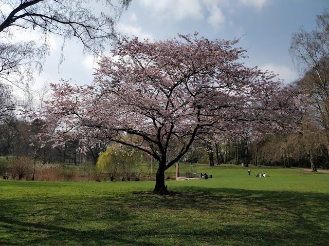 Park Eppendorfer