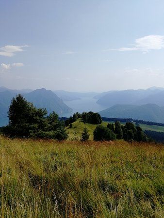 Agriturismo La Selva