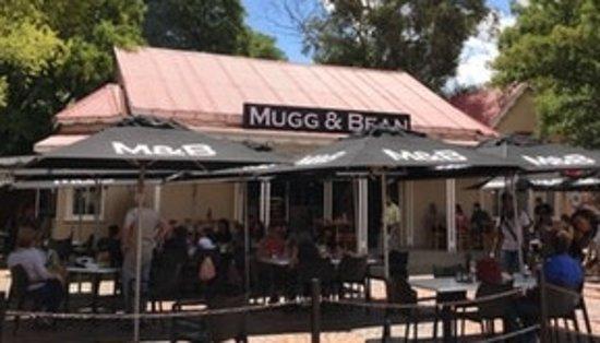 Mugg And Bean