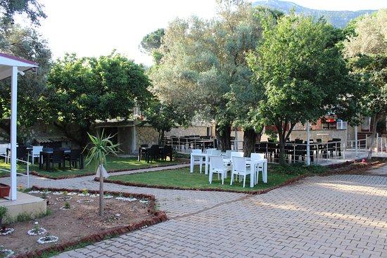 Hani Baba Oludeniz Koftecisi