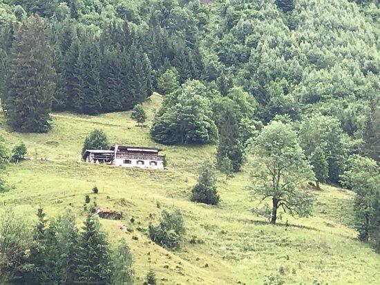Angerer Alm