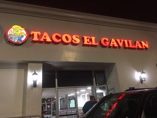 Tacos El Gavilan