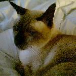 El Salteno Restaurante