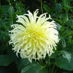 Restaurant Novum Hotel