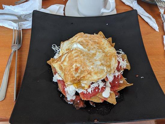 Maleconcito Gourmet