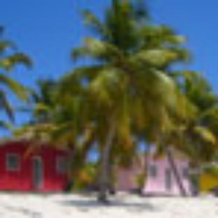 Terrace 24 Pizza & Takeaway