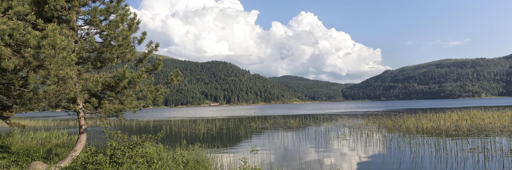 Abant Gölü Milli Parkı