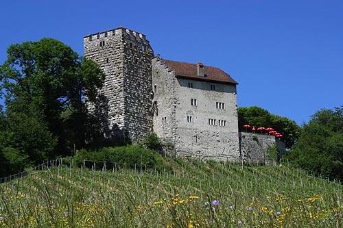 Ruine Horen