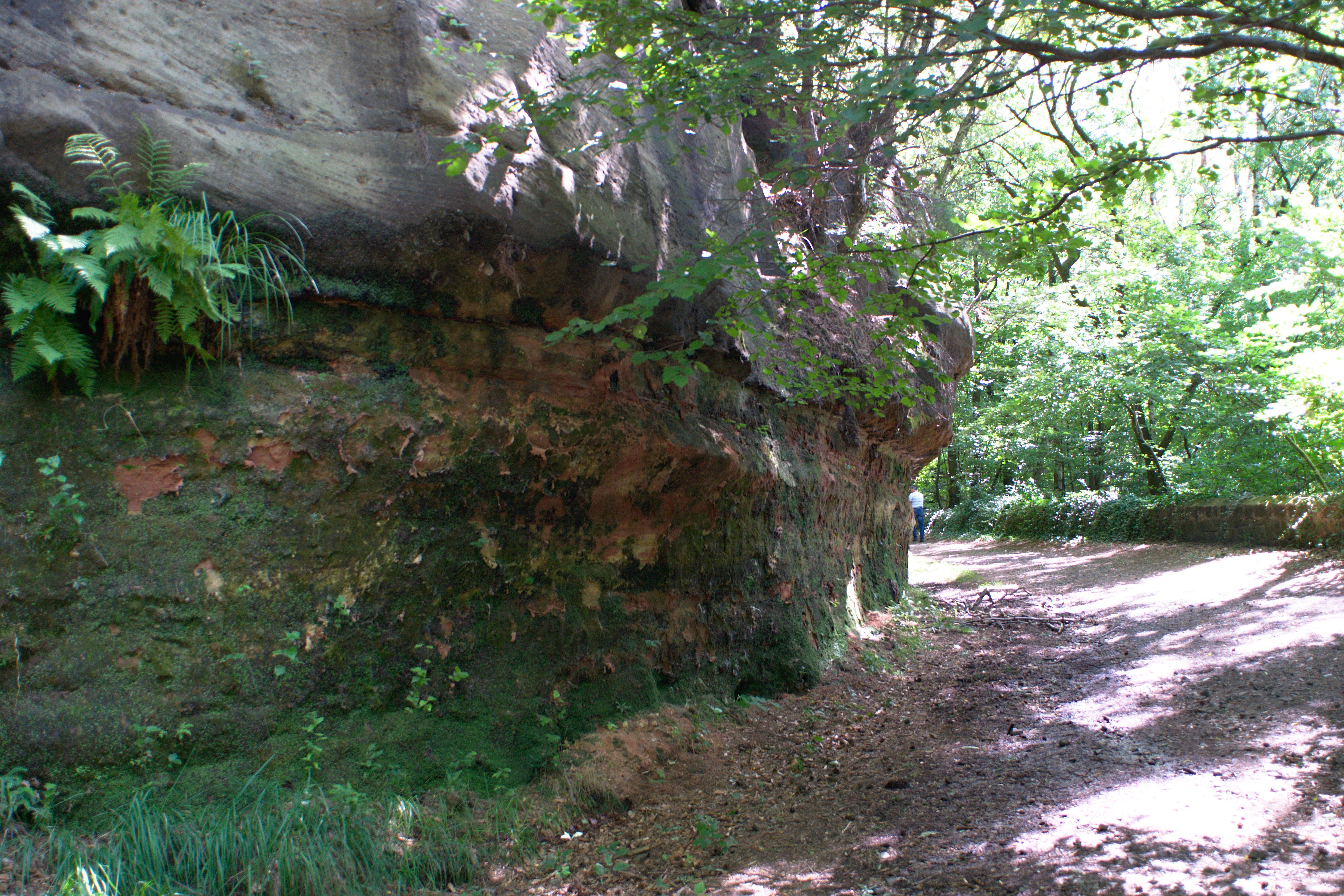 Wasserfelsen