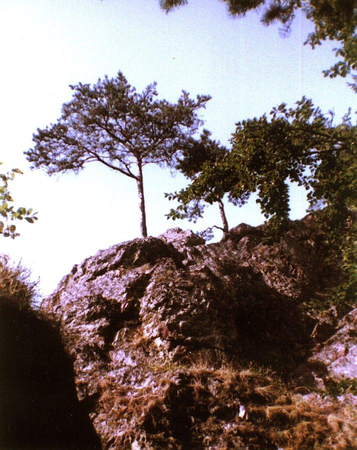 Burg Neu-Blumberg