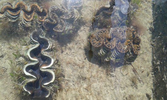Pearl Farm de Praslin