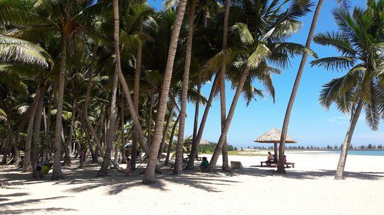 Dongjiao Coconut Plantation