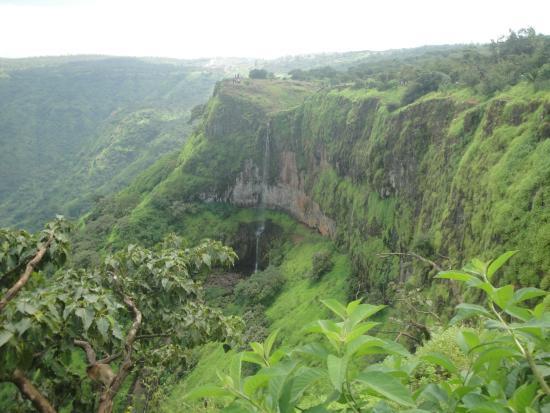 Elephant's Head Point