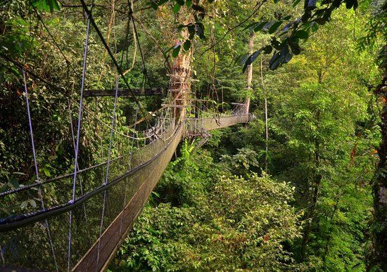 Gunung Mulu National Park