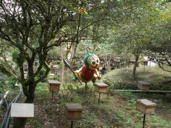 Ee Feng Gu Bee Farm
