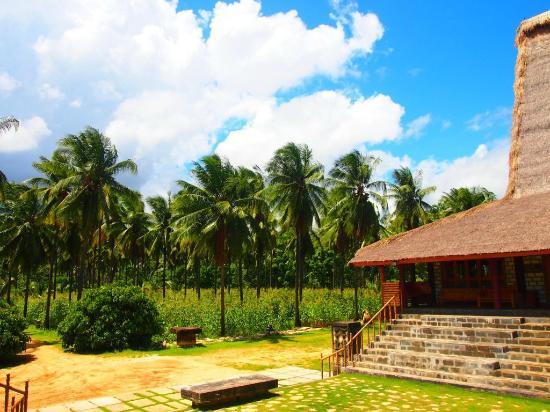 Sumba Cultural Conservation and Learning Institute