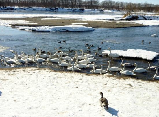 Tokachigawa Onsen Aqua Park