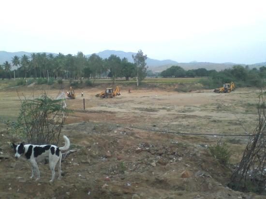 Wish Fullfilling Tree