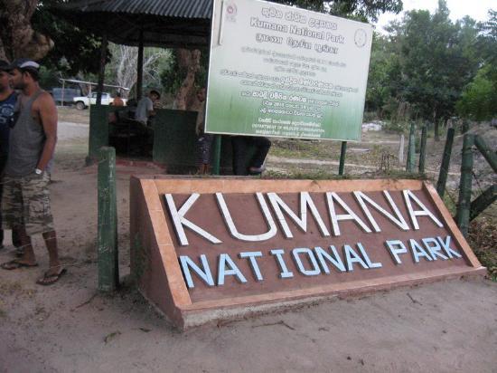 Kumana National Park