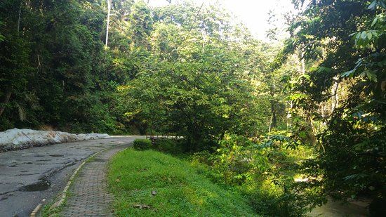 Ampang Recreational Forest